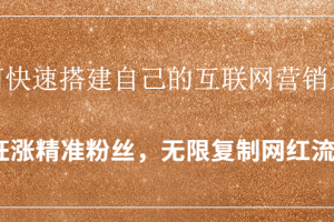（1427期）如何快速搭建自己的互联网营销系统，疯狂涨精准粉丝，无限复制网红流量
