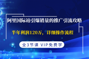 (1374期)阿里国际站引爆销量的推广引流攻略,半年利润120万,详细操作流程(全3节课)