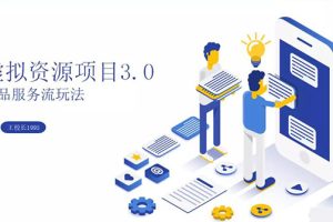 (1339期)虚拟资源项目3.0(单品服务流玩法),单品利润在80元~600元左右(无水印)