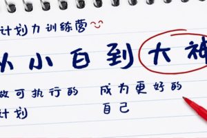(8621期)计划力训练营-从小白到大神:做可执行 的计划,成为更好 的自己