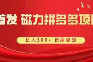 (8611期)首发 磁力拼多多自撸  日入500+