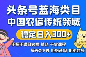 (8595期)头条号蓝海类目传统和农谚领域实操精品课程拒绝违规封号稳定日入300+