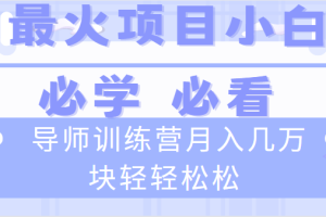 (8569期)导师训练营互联网最牛逼的项目没有之一,新手小白必学,月入2万+轻轻松松