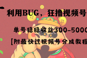 (8549期)全网独家首发,视频号BUG,超短期项目,单号每日净收益300-5000!
