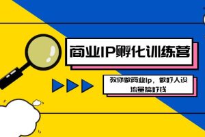 (8539期)商业IP-孵化训练营新版,教你做商业Ip,做好人设,流量搞好钱