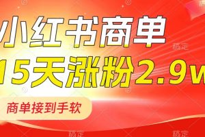 (8308期)小红书商单最新玩法,新号15天2.9w粉,商单接到手软,1分钟一篇笔记