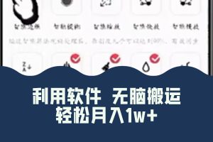 (8303期)最新蓝海独家玩法,利用软件无脑搬运,小白轻松日入1000+