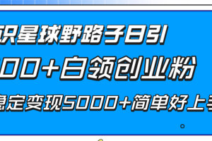 (8315期)知识星球野路子日引300+白领创业粉,日稳定变现5000+简单好上手!