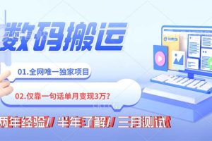 (8253期)年底最火持久副业,仅靠一句话一月变现3W?