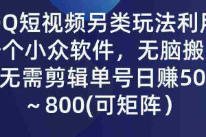 (9492期)QQ短视频另类玩法,利用一个小众软件,无脑搬运,无需剪辑单号日赚500~…