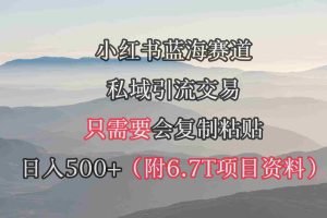 (9487期)小红书短剧赛道,私域引流交易,会复制粘贴,日入500+(附6.7T短剧资源)