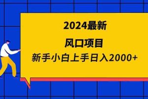 (9483期)2024最新风口项目 新手小白日入2000+