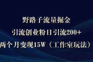 (9513期)野路子流量掘金,引流创业粉日引流200+,两个月变现15W(工作室玩法))