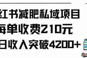 (9466期)小红书减肥私域项目每单收费210元单日成交20单,最高日入4200+