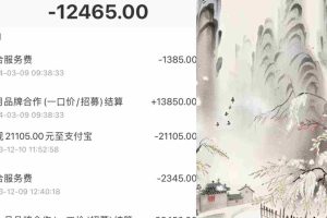 (9476期)小红书新赛道,商单接到手软,涨粉迅速,月入1w+