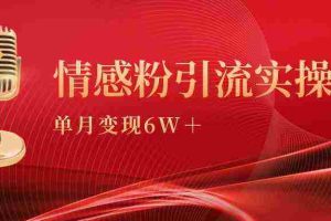 (9473期)单月变现6w+,情感粉引流变现实操课