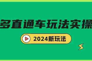 (9412期)多多直通车玩法实战课,2024新玩法(7节课)