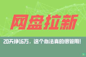 (9373期)网盘拉新+私域全自动玩法,0粉起号,小白可做,当天见收益,已测单日破5000