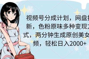 (9367期)视频号分成计划,网盘拉新,色粉原味多种变现方式,两分钟生成原创美女…