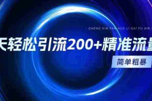 (9359期)一天轻松引流200+精准流量,简单粗暴,一看就会