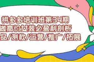(9333期)拼多多培训班第34期:做高价女装必盈利剖析  选品/测款/运营/推广/拓展