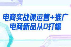 (9313期)电商实战课运营+推广,电商新品从0打爆(99节视频课)
