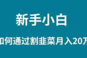 (9308期)新手小白如何通过割韭菜月入 20W