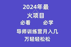(9301期)导师训练营互联网最牛逼的项目没有之一,新手小白必学,月入3万+轻轻松松