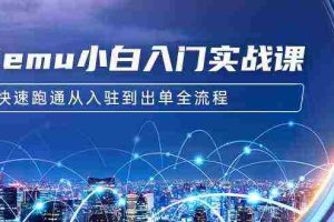 (9295期)Temu小白入门实战课:跨境拼多多电商培训 快速跑通从入驻到出单全流程-12节