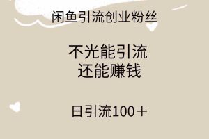 (9290期)闲鱼精准引流创业粉丝,日引流100+,引流过程还能赚钱