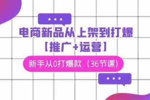 (9286期)电商 新品从上架到打爆【推广+运营】,新手从0打爆款(36节课)
