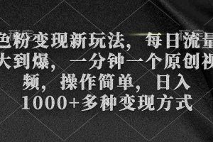 (9282期)色粉变现新玩法,每日流量大到爆,一分钟一个原创视频,操作简单,日入1…