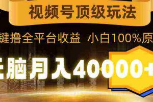 (9281期)视频号顶级玩法,无脑月入40000+,一键撸全平台收益,纯小白也能100%原创