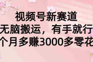 (9277期)视频号新赛道,无脑搬运,有手就行,每个月多赚3000多零花钱
