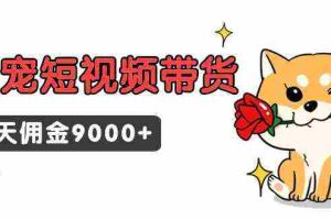 (9273期)东哲日记·萌宠短视频带货,2天佣金9000+