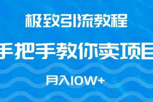 (9265期)极致引流教程,手把手教你卖项目,月入10W+