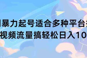 (9251期)扩列暴力起号适合多种平台操作原创视频流量搞轻松日入1000+
