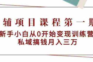 (9227期)教辅项目课程第一期:新手小白从0开始变现训练营  私域搞钱月入三万