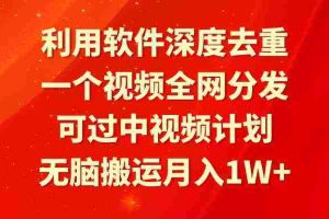 (9224期)利用软件深度去重,一个视频全网分发,可过中视频计划,无脑搬运月入1W+