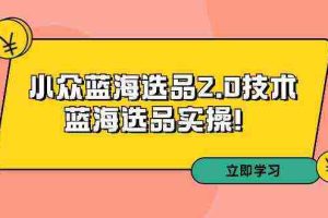 (9189期)拼多多培训第33期:小众蓝海选品2.0技术-蓝海选品实操!