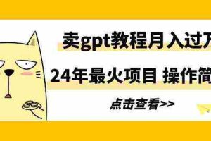 (9180期)24年最火项目,卖gpt教程月入过万,操作简单
