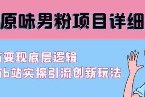 (9158期)最新原味男粉项目详细操作 引流与变现底层逻辑+知乎与b站实操引流创新玩法