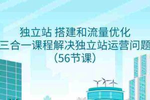 (9156期)独立站 搭建和流量优化,三合一课程解决独立站运营问题(56节课)