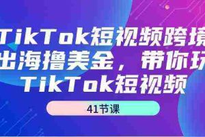 (9155期)TikTok短视频跨境出海撸美金,带你玩TikTok短视频(41节课)