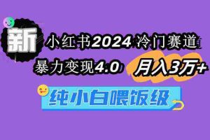 (9133期)小红书2024冷门赛道 月入3万+ 暴力变现4.0 纯小白喂饭级