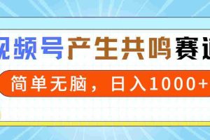 (9133期)2024年视频号,产生共鸣赛道,简单无脑,一分钟一条视频,日入1000+