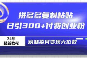 (9129期)拼多多复制粘贴日引300+付费创业粉,割韭菜月变现六位数最新教程!