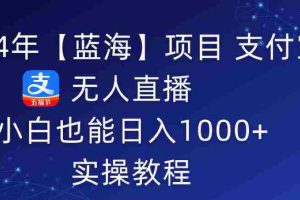 (9084期)2024年【蓝海】项目 支付宝无人直播 小白也能日入1000+  实操教程