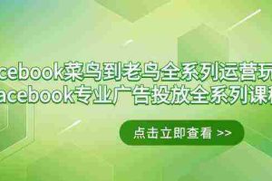 (9065期)Facebook-菜鸟到老鸟全系列运营玩法+Facebook-专业广告投放全系列课程