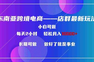 (9060期)东南亚跨境电商店群新玩法2—小白每天两小时 轻松10000+